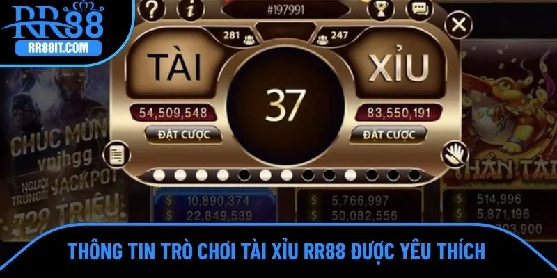Thông tin trò chơi tài xỉu RR88 được yêu thích